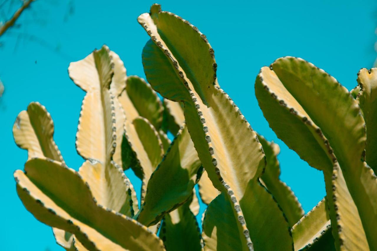 Can Arabi - Adults Only Puig D'en Valls エクステリア 写真